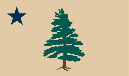 1901 Maine Flag Patch