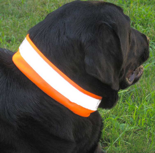 Large black dog laying in green grass is wearing a tick-repelling collar cover with 3M reflective striping.