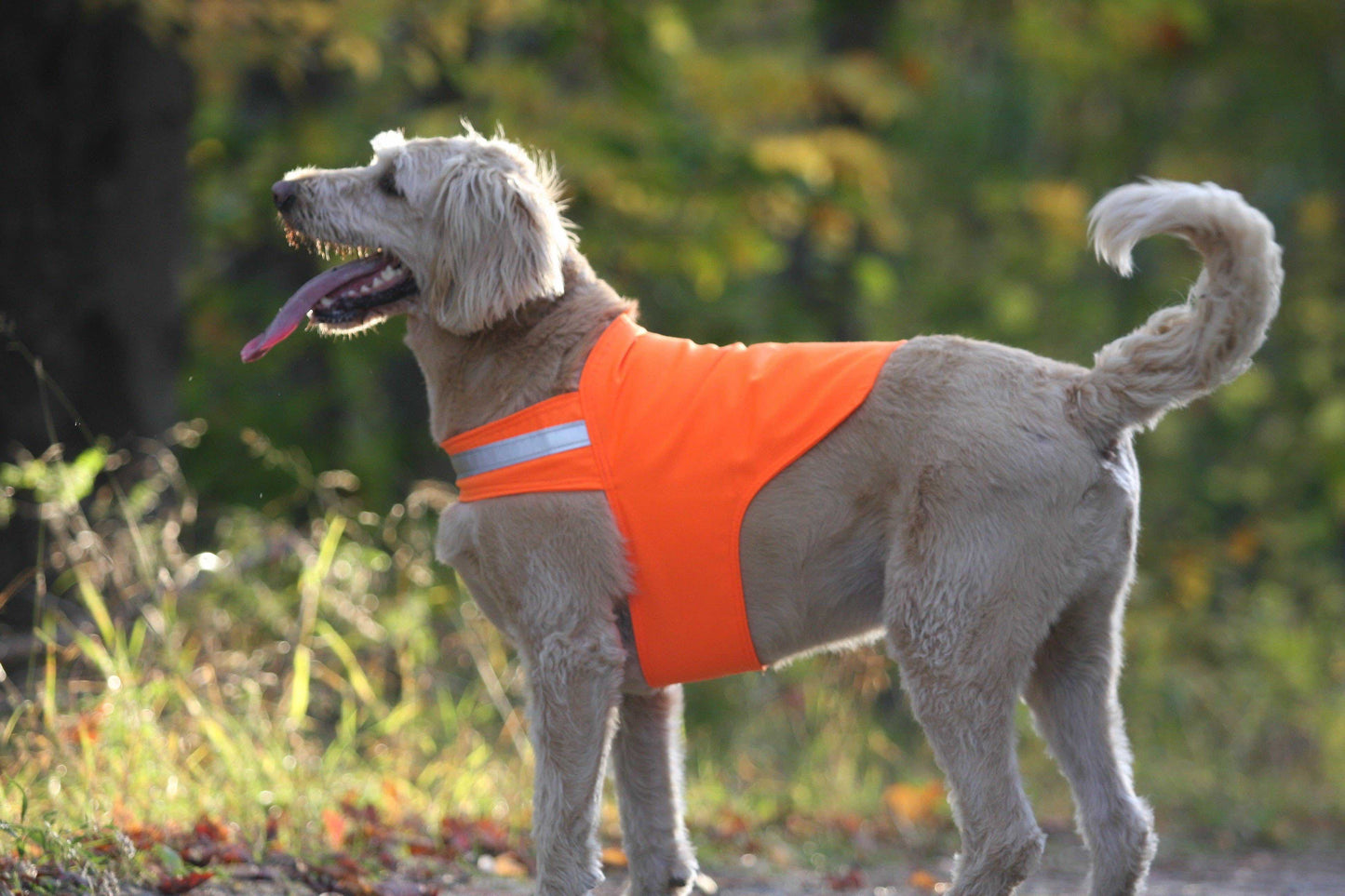 Ten Mile Blaze Orange Safety Dog Vest - 38" only!